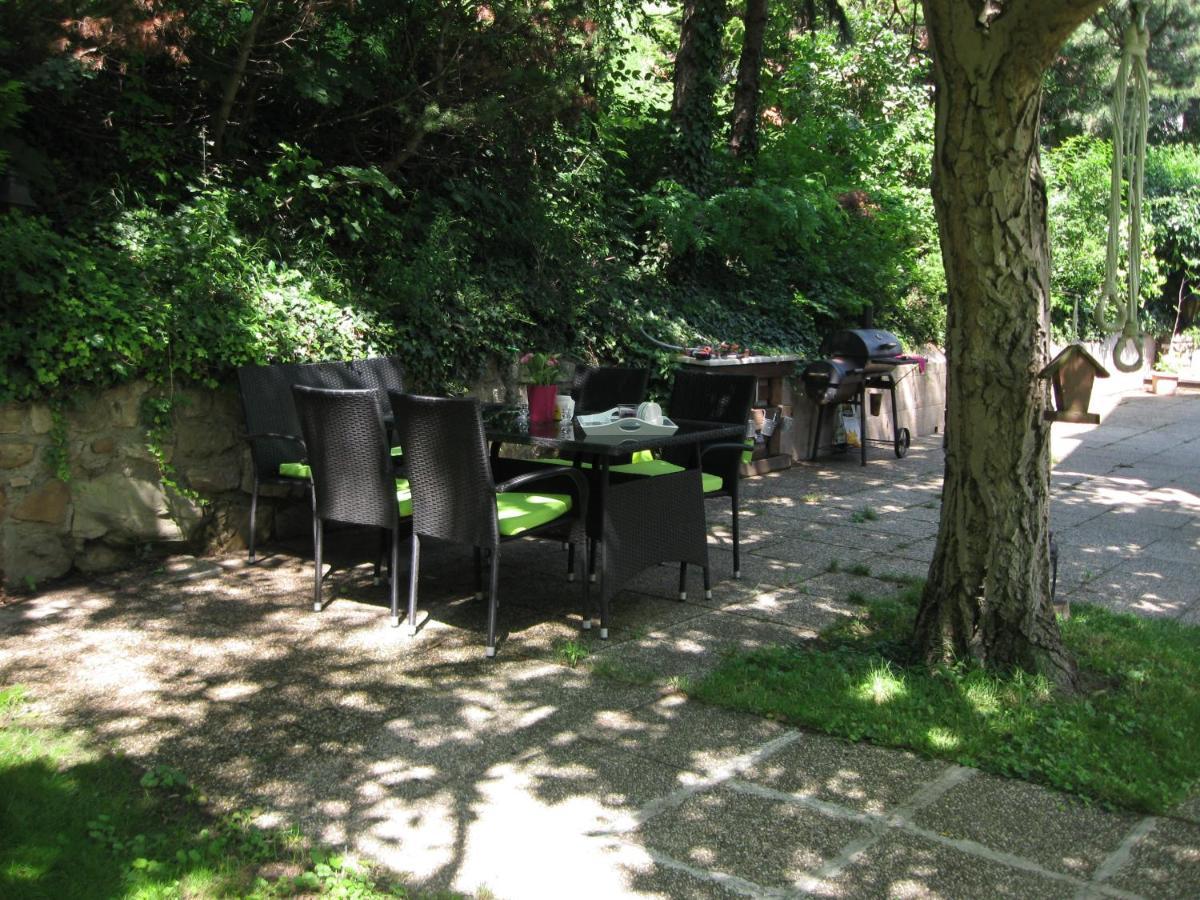 Danube View House With Garden Lägenhet Wien Exteriör bild