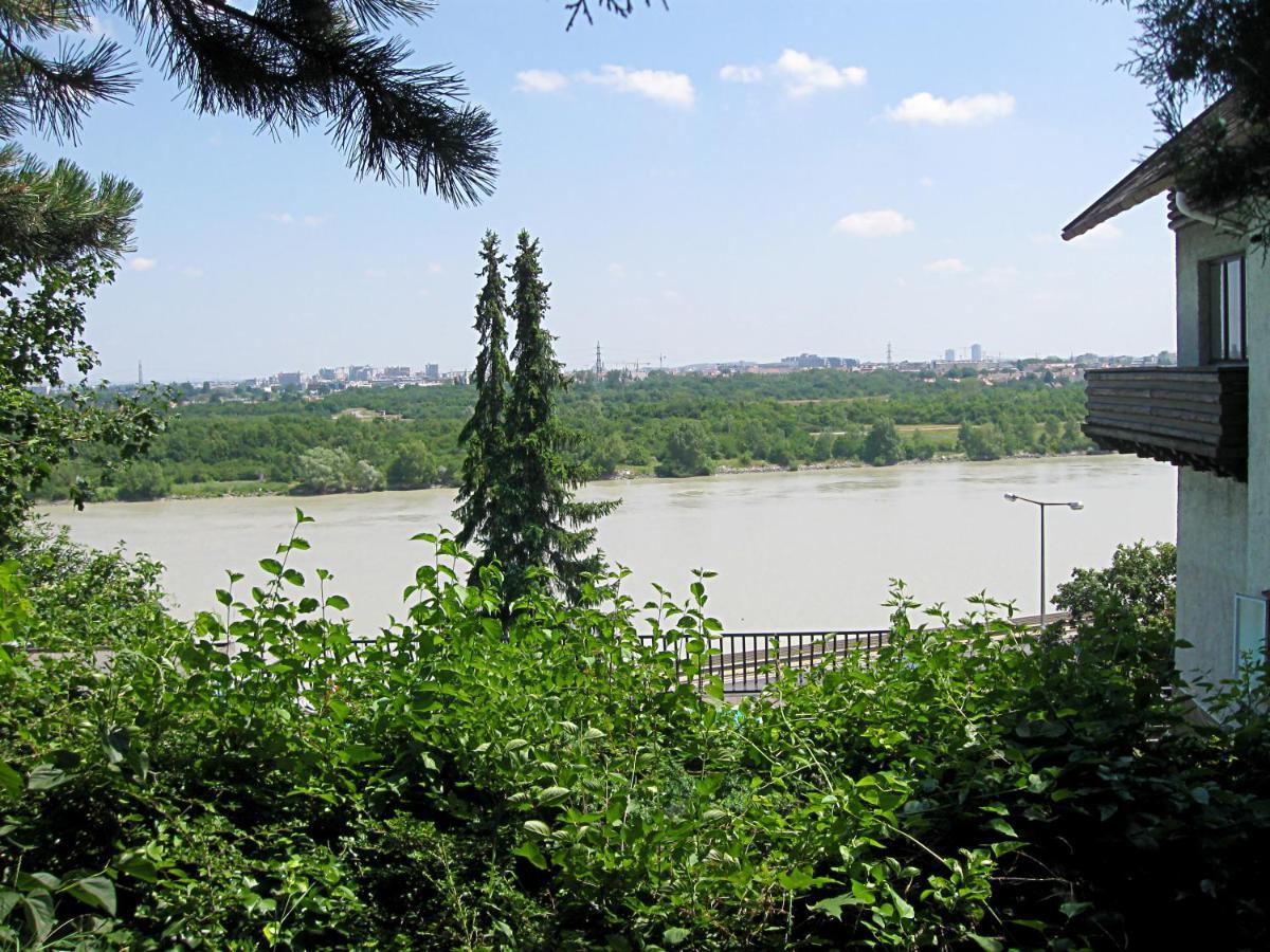 Danube View House With Garden Lägenhet Wien Exteriör bild
